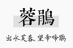 蓉鹃名字的寓意及含义