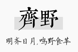 齐野名字的寓意及含义