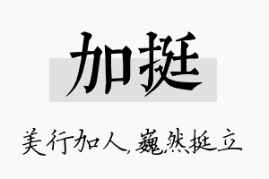 加挺名字的寓意及含义