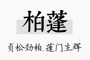 柏蓬名字的寓意及含义