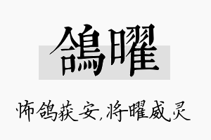 鸽曜名字的寓意及含义