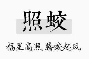 照蛟名字的寓意及含义