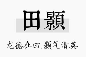 田颢名字的寓意及含义