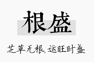 根盛名字的寓意及含义