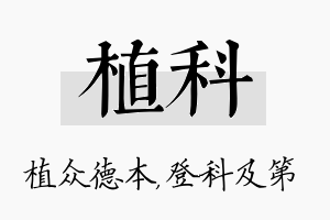 植科名字的寓意及含义