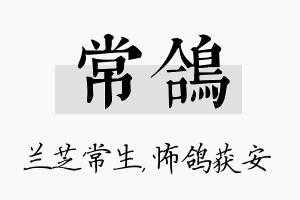 常鸽名字的寓意及含义