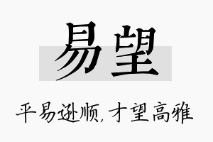 易望名字的寓意及含义