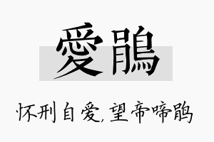 爱鹃名字的寓意及含义