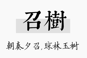 召树名字的寓意及含义