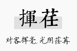 挥荏名字的寓意及含义