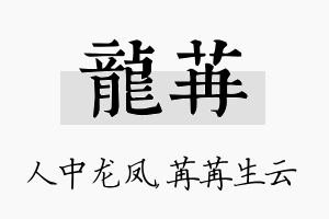 龙苒名字的寓意及含义