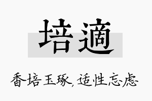 培适名字的寓意及含义