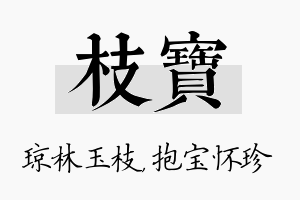 枝宝名字的寓意及含义