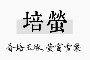 培萤名字的寓意及含义