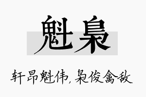 魁枭名字的寓意及含义