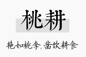 桃耕名字的寓意及含义