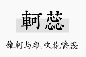 轲蕊名字的寓意及含义