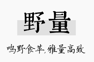 野量名字的寓意及含义