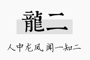 龙二名字的寓意及含义