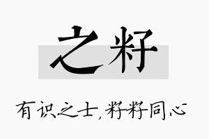 之籽名字的寓意及含义