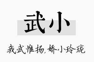 武小名字的寓意及含义