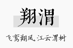 翔渭名字的寓意及含义