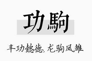 功驹名字的寓意及含义