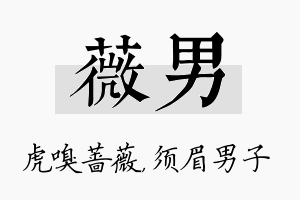 薇男名字的寓意及含义