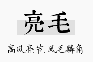 亮毛名字的寓意及含义