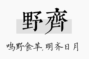 野齐名字的寓意及含义