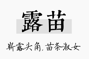 露苗名字的寓意及含义