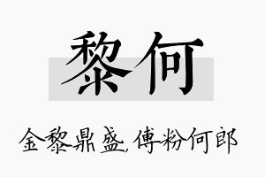 黎何名字的寓意及含义