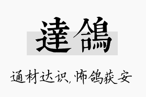 达鸽名字的寓意及含义