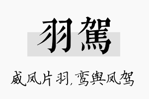 羽驾名字的寓意及含义