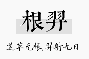 根羿名字的寓意及含义