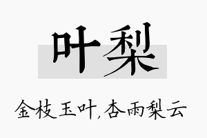 叶梨名字的寓意及含义