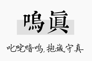 呜真名字的寓意及含义