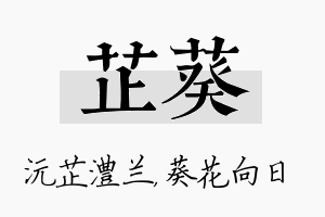 芷葵名字的寓意及含义