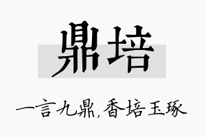 鼎培名字的寓意及含义