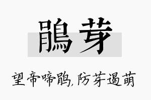 鹃芽名字的寓意及含义