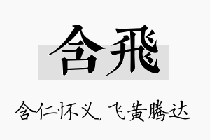 含飞名字的寓意及含义