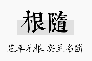 根随名字的寓意及含义