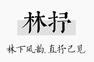 林抒名字的寓意及含义