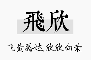 飞欣名字的寓意及含义