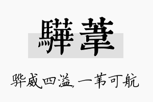 骅苇名字的寓意及含义