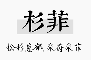 杉菲名字的寓意及含义