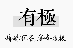 有极名字的寓意及含义