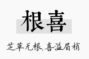 根喜名字的寓意及含义