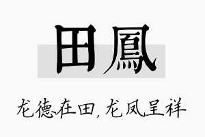 田凤名字的寓意及含义