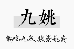 九姚名字的寓意及含义